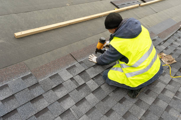 Best Metal Roofing Contractor  in Caseyvle, IL
