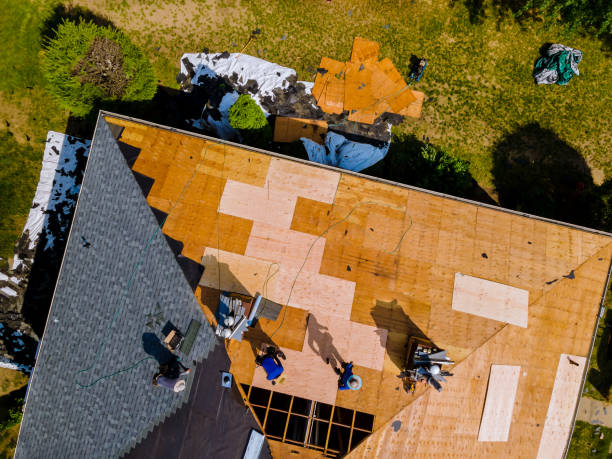 Best Flat Roof Repair Services  in Caseyvle, IL