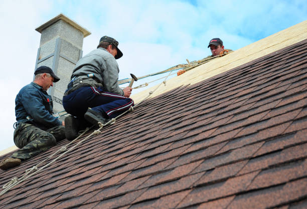 Best Roof Leak Repair  in Caseyvle, IL